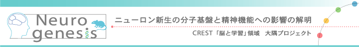 ニューロン新生の分子基盤と精神機能への影響の解明　CREST 「脳と学習」領域　大隅プロジェクト