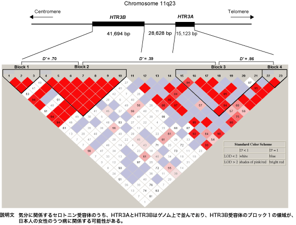 g쌤figure