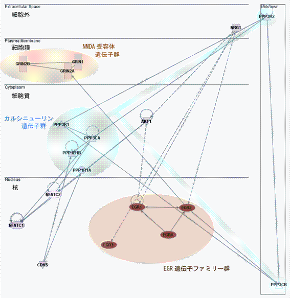 図1