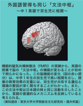 脳の活動の様子のイメージング